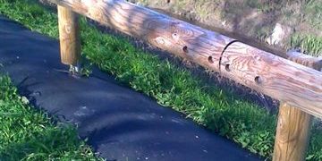 natte-anti-vegetation
